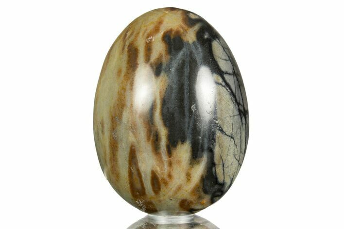 Polished Picasso Marble Egg - Utah #308963